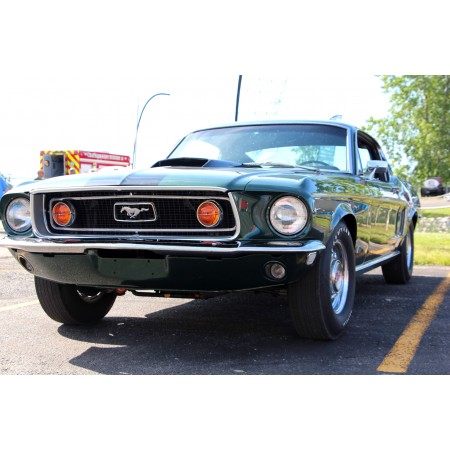 Black Ford Mustang 24"x16" Photographic Print Poster