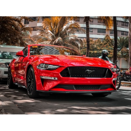 Red Mustang Front Super Car 24"x18" Photographic Print Poster
