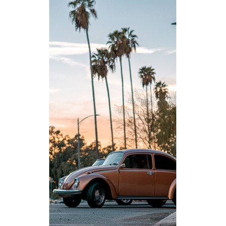 Brown Volkswagen Beetle palm trees, skies 24"x14" Photo Print Poster