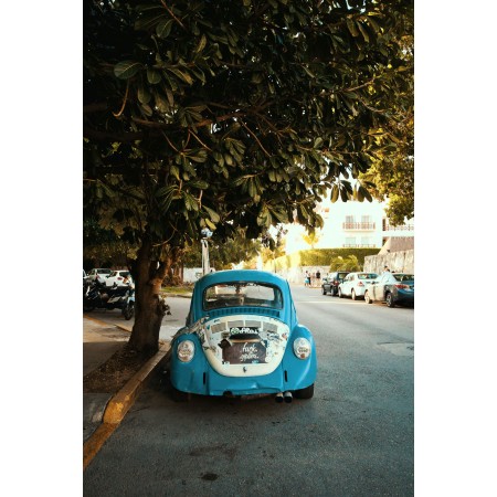 Volkswagen Beetle rear 24"x16" Photo Print Poster