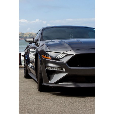 Gray Ford Mustang 24"x36" Photographic Print Poster