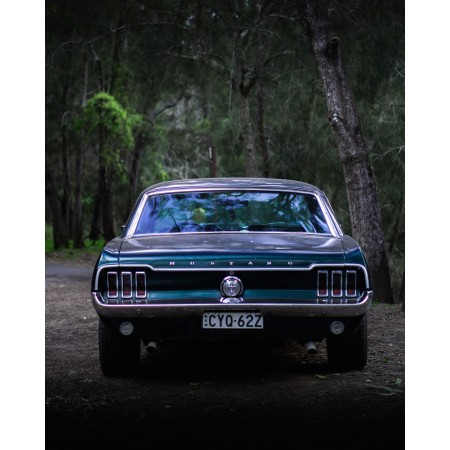 Ford Mustang rear blue 24"x30" Photographic Print Poster