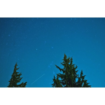 Green Trees Under Starry Night Sky 24"x16" Photographic Print Poster