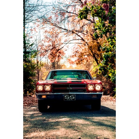 1970 Chevrolet Chevelle SS front 24"x16" Photo Print Poster