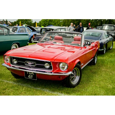 Red Chevrolet Camaro On Green Grass 24"x16" Photographic Print Poster