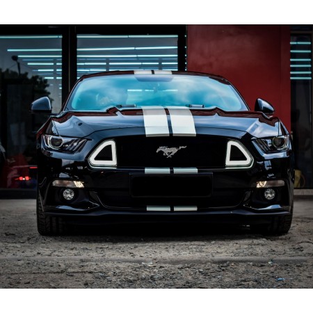 Parked Black Ford Mustang 24"x20" Photographic Print Poster