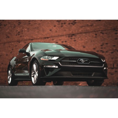 Black Ford Mustang brick wall 24"x16" Photographic Print Poster