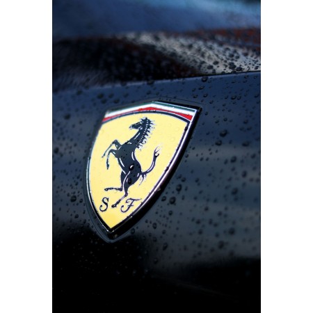 Ferrari Emblem 24"x36" Photographic Print Poster