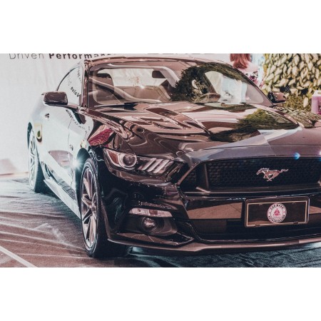 Black Mustang Coupe Car wash Auto Detailing 24"x16" Photographic Print Poster