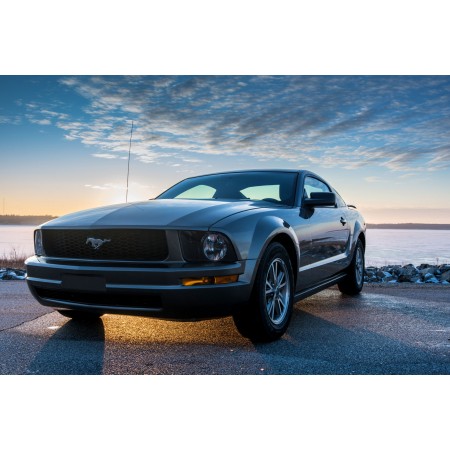 Black Ford Mustang Coupe Parking Near beach 24"x16" Photographic Print Poster