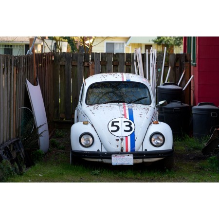 White Volkswagen Beetle Parked On Green Grass Field 24"x16" Photographic Print Poster