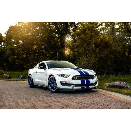 White And Blue ford mustang shelby gt350 24"x16" Photographic Print Poster