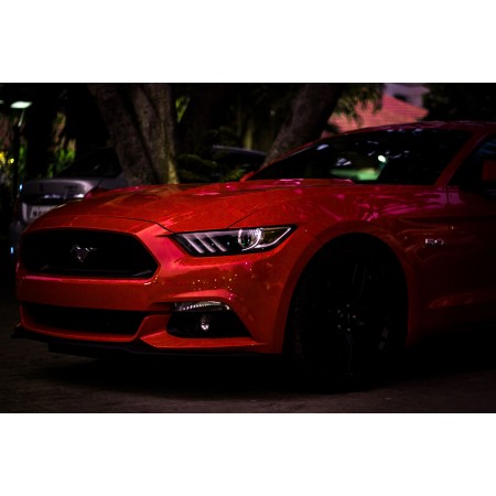 Red Ford Mustang Coupe Parking Near Tree 24"x16" Photographic Print Poster