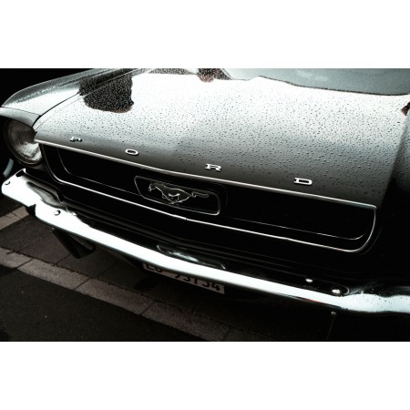 Black Ford Mustang Car 24"x16" Photographic Print Poster