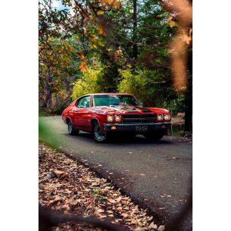 Red Black Chevrolet Camaro SS, park, trees 24"x16" Photo Print Poster