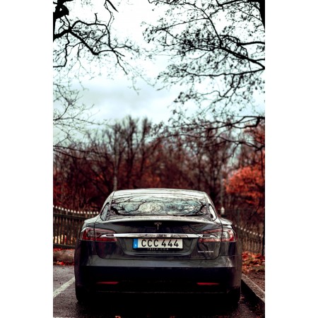 Tesla Parked Near Brown Wooden Fence During Daytime 24"x36" Photographic Print Poster