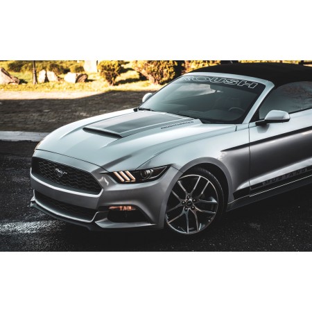 Silver Ford Mustang 24"x15" Photographic Print Poster