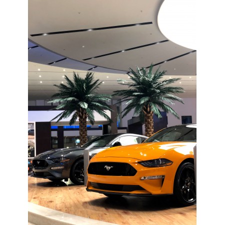 Two Orange And Gray Ford Mustang Coupes 24"x32" Photographic Print Poster