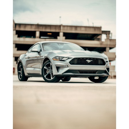 Silver Ford Mustang Coupe Front 24"x30" Photo Print Poster