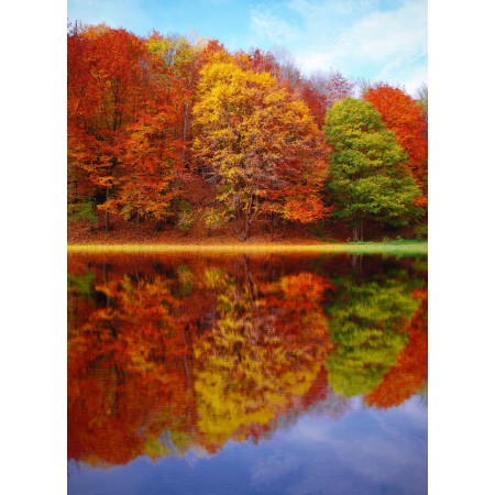 Autumn Scenery Pictures Photographic Print Poster Fall Colors, reflection clouds