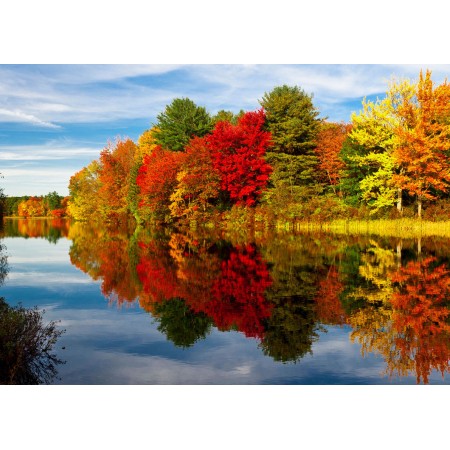 Autumn Scenery Pictures Photographic Print Poster Fall in New Hampshire