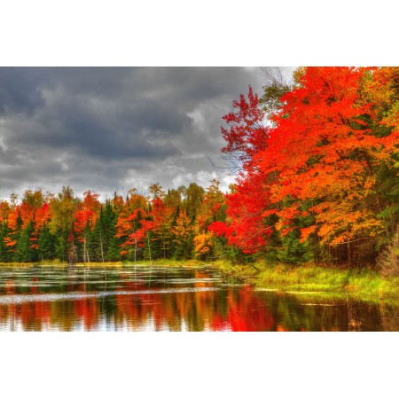 Wisconsin's County Photographic Print Poster Autumn Scenery Pictures Firey Fall Color