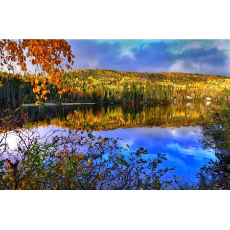 Autumn Scenery Pictures Photographic Print Poster Landscape, tree, water, nature, forest, wilderness, mountain, meadow, morning, leaf, fall, flower, lake