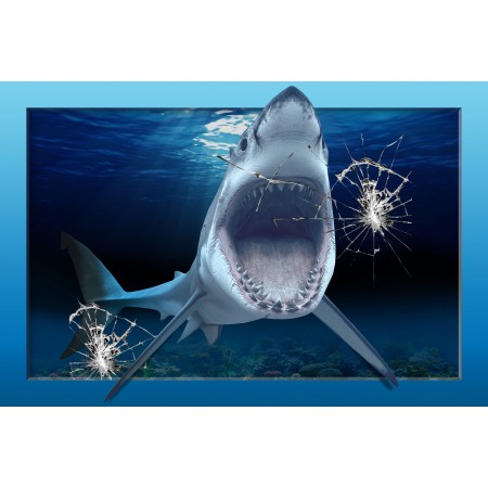 Killer Megalodon Shark Large Poster Wildlife - Braking Aquarium Glass