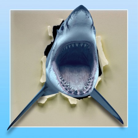 Photographic Print Poster Wildlife 24"x24" - Terrifying Megalodon Shark Art Print