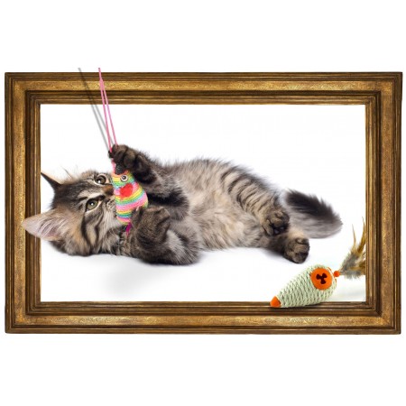 Cat Art Print photo Photographic Print Poster Pets Kitten playing with hanging toy inside of 3D Effect Frame