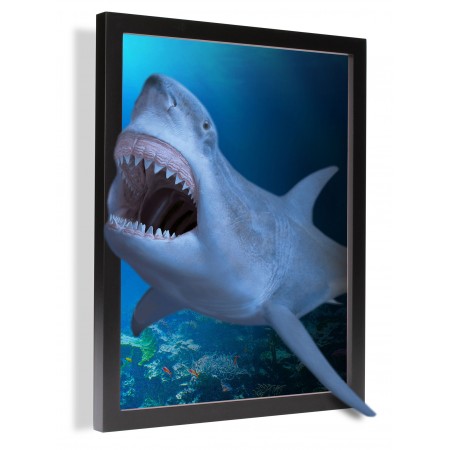 Great White Shark Photographic Print Poster - Pops Up. Wildlife Art Print with 3D Frame Effect 
