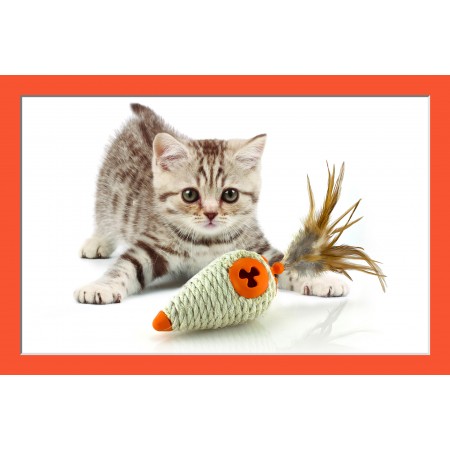 Cute Grey Kitten Photographic Print Poster, Pets - Playing With A Toy. Cat Art Print, with 3D Frame Effect