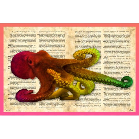 OCTOPUS Photographic Print Poster Vintage Dictionary Art Print