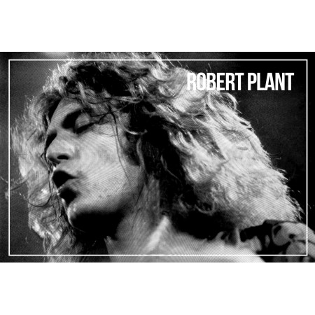 Led Zeppelin 24"x36" Poster Rock n Roll Hall of Fame Robert Plant, Art Print Photo
