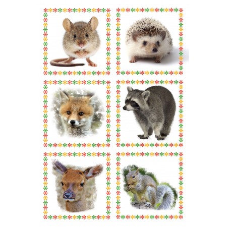Woodland Animals Large Poster Educational, Learning Art for Preschoolers, Toddlers, Kids, Kindergarten Classrooms Print
