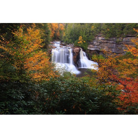 West Virginia Forest Photographic Print Poster The World's Most Incredible Scenery Blackwater falls autumn foliage scenery Wander