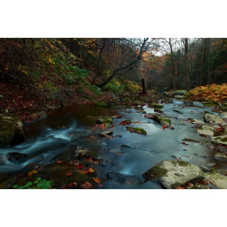 West Virginia Forest Wander Photographic Print Poster The World's Most Incredible Scenery Autumn forest creek scenery 