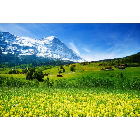Spring landscape nature Photographic Print Poster Most Beautiful Places in Switzerland Art Print meadow, grass, mountainous