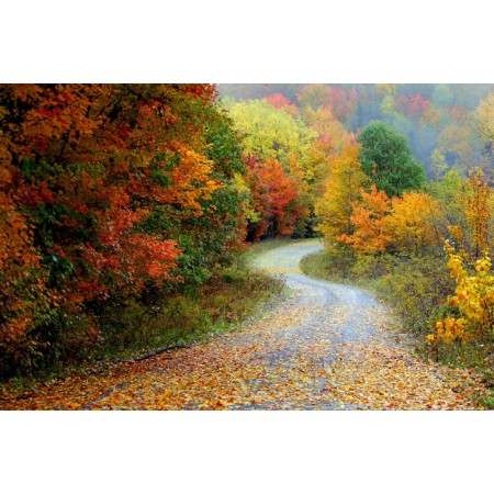 Spruce Knob Area Large Poster Autumn Scenery Pictures , West Virginia
