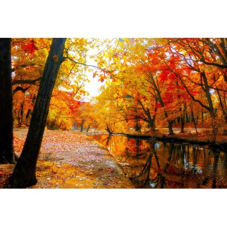 Autumn Scenery Pictures Photographic Print Art Print Poster Park, River Landscape.