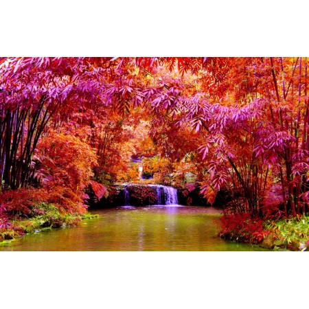 Autumn Scenery Pictures Photographic Print Art Print Poster: Beauty Falling Dry Leaves