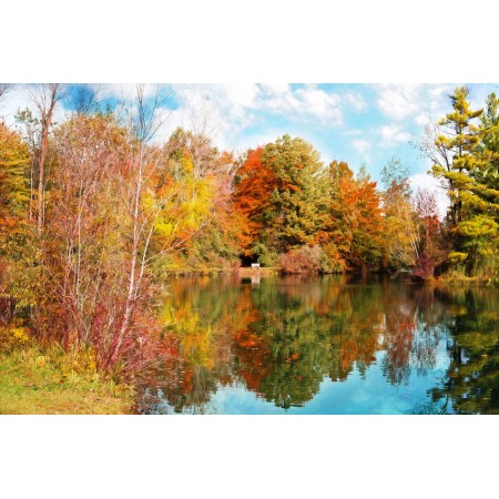 Autumn Scenery Pictures Photographic Print Art Print Poster Nature, meadow, leaf, fall, pond, foliage, autumn ,park