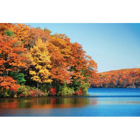 New England Photographic Print Art Print Poster Autumn Scenery Pictures
