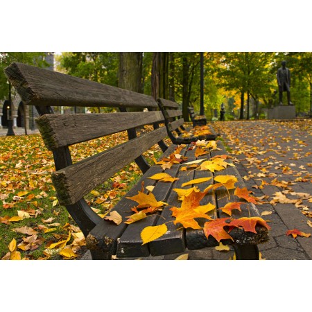Park bench Photographic Print Art Print Poster Autumn Scenery Pictures Leaves