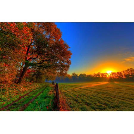 Fall Sunlight Farm Photographic Print Art Print Poster Autumn Scenery Pictures 
