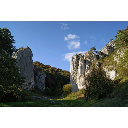 Karniowice village, Photographic Print Poster Most Beautiful Places in Poland Bolechowicki Gully Nature reserve, Gate, Lesser Poland Voivodeship