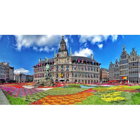 Floral Carpet Photographic Print Poster 24"x48" Most Beautiful Places in Belgium Art Print Belgique