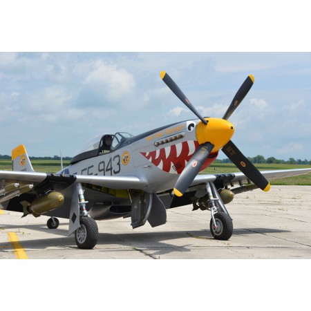 Shark Mouth P-51 Photographic Print Poster WW2 History Mustang 1941
