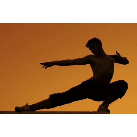 Martial arts, Photographic Print Poster Sunset