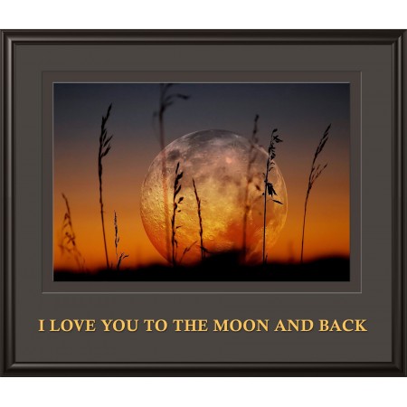 Love Quotes Photographic Print Poster  24"x28" I love you to the moon and back